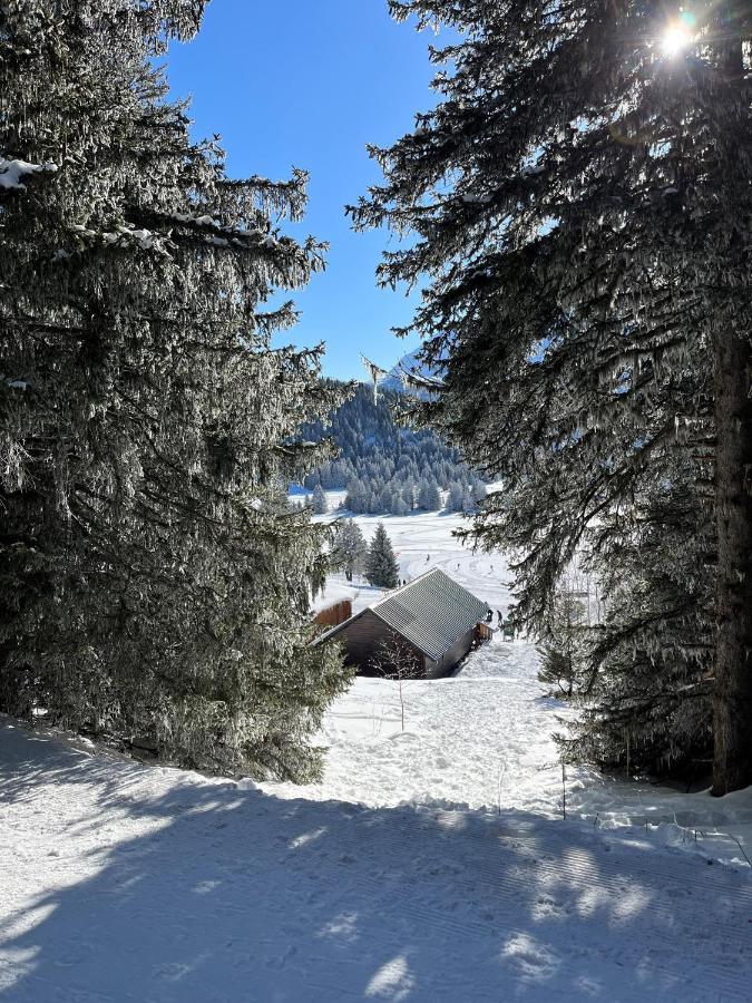 Chamrousse Appart 8 Personnes Au Pied Des Pistes ภายนอก รูปภาพ
