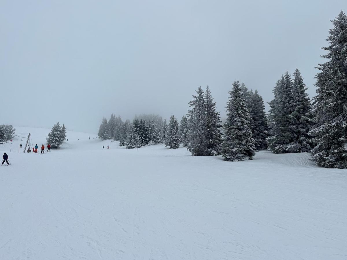 Chamrousse Appart 8 Personnes Au Pied Des Pistes ภายนอก รูปภาพ